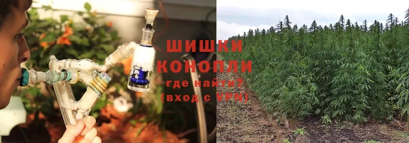 дарк нет наркотические препараты  Покровск  Конопля SATIVA & INDICA 